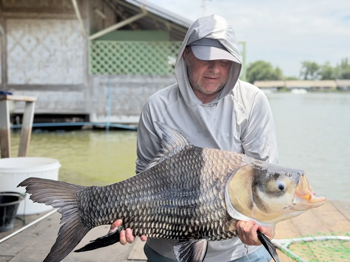 Close view of an angler holding a broad scaled fish with a pale head