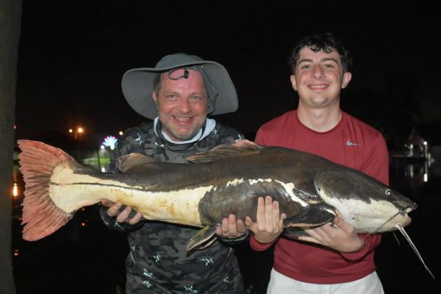 Two anglers holding a red-tailed catfish together at night