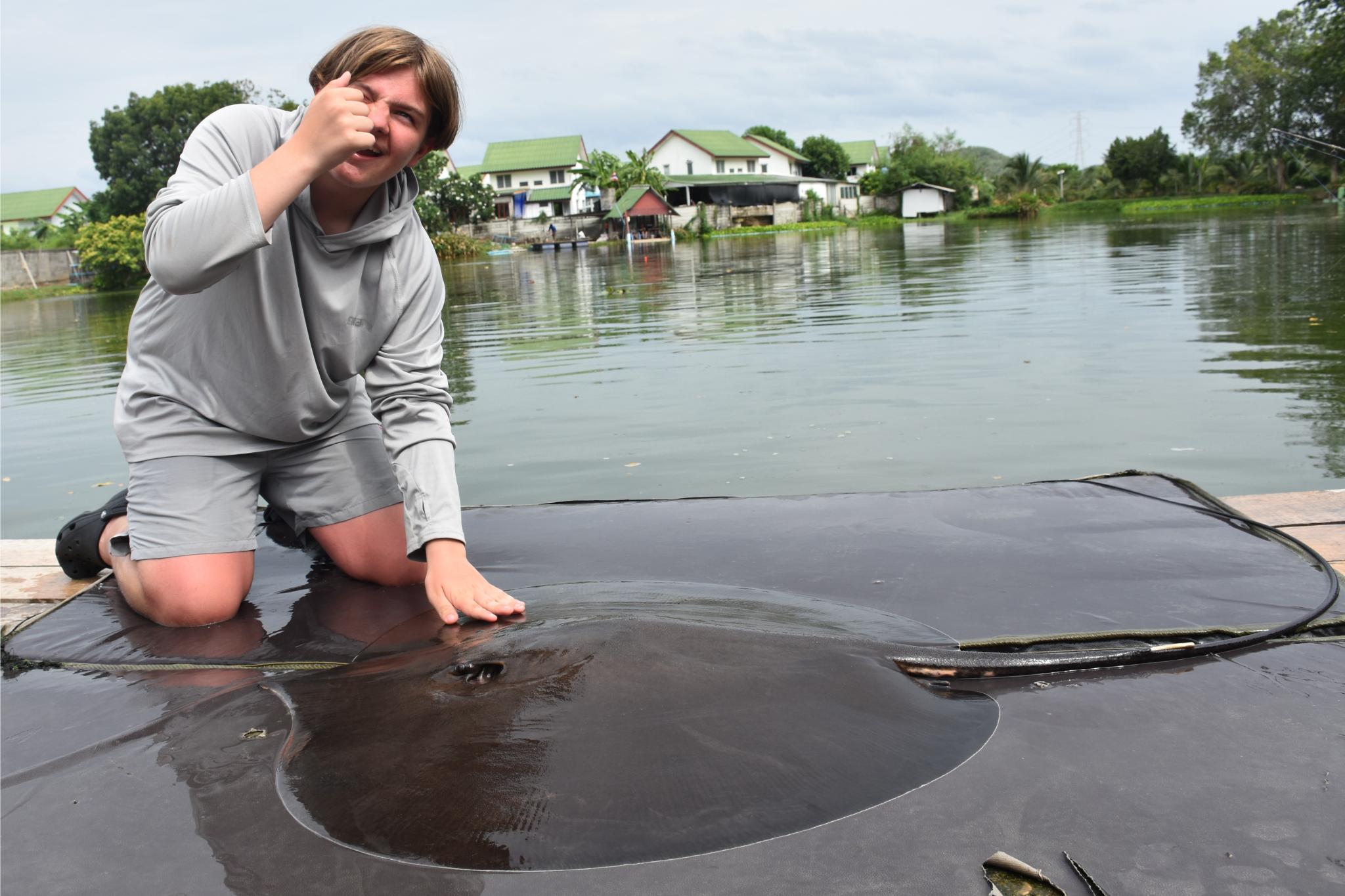 An angler kneeling behind a ray on a wet unhooking mat
