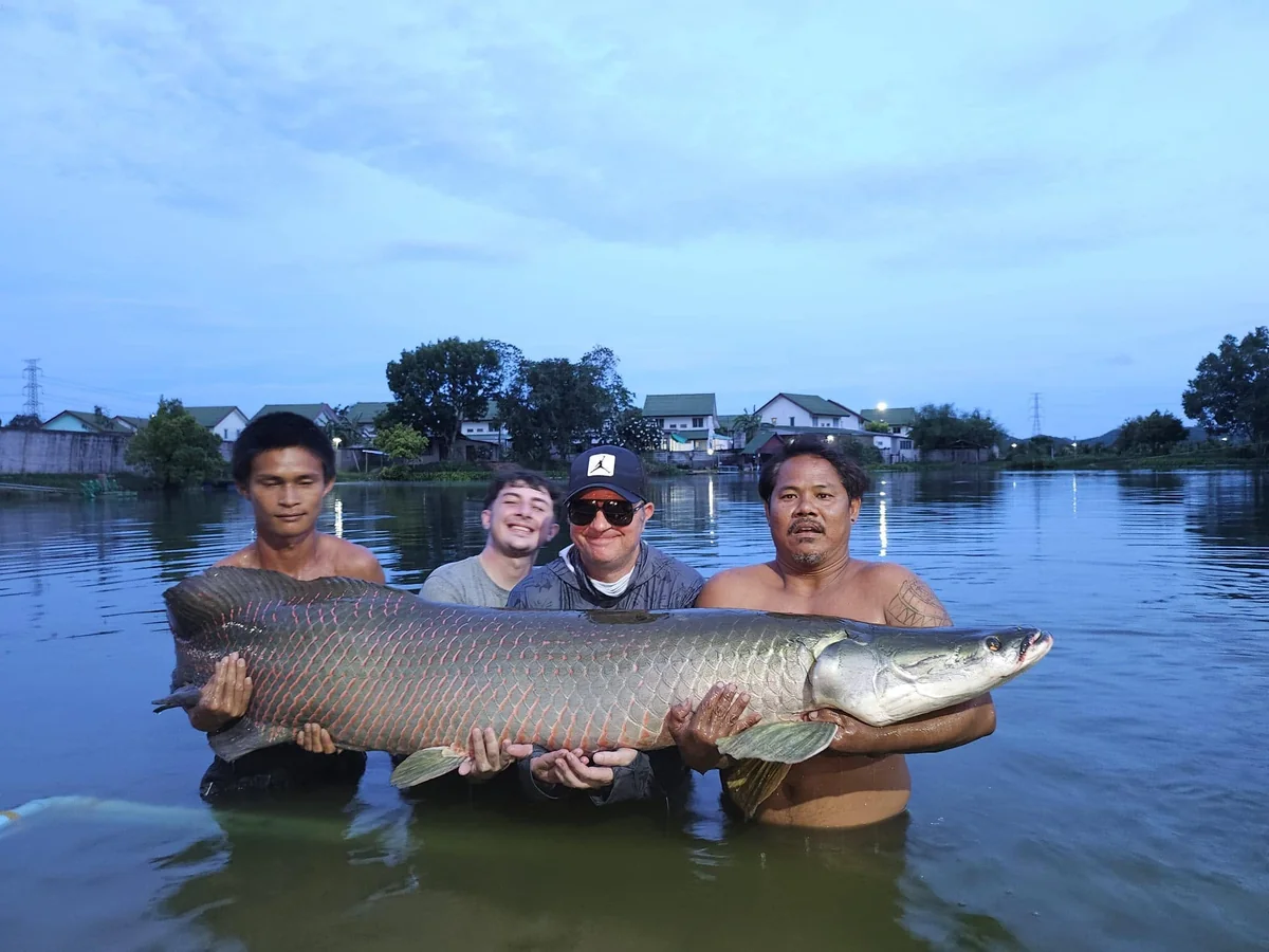 Vinny, Finlay and two helpers supporting a long arapaima in the lake at dusk.