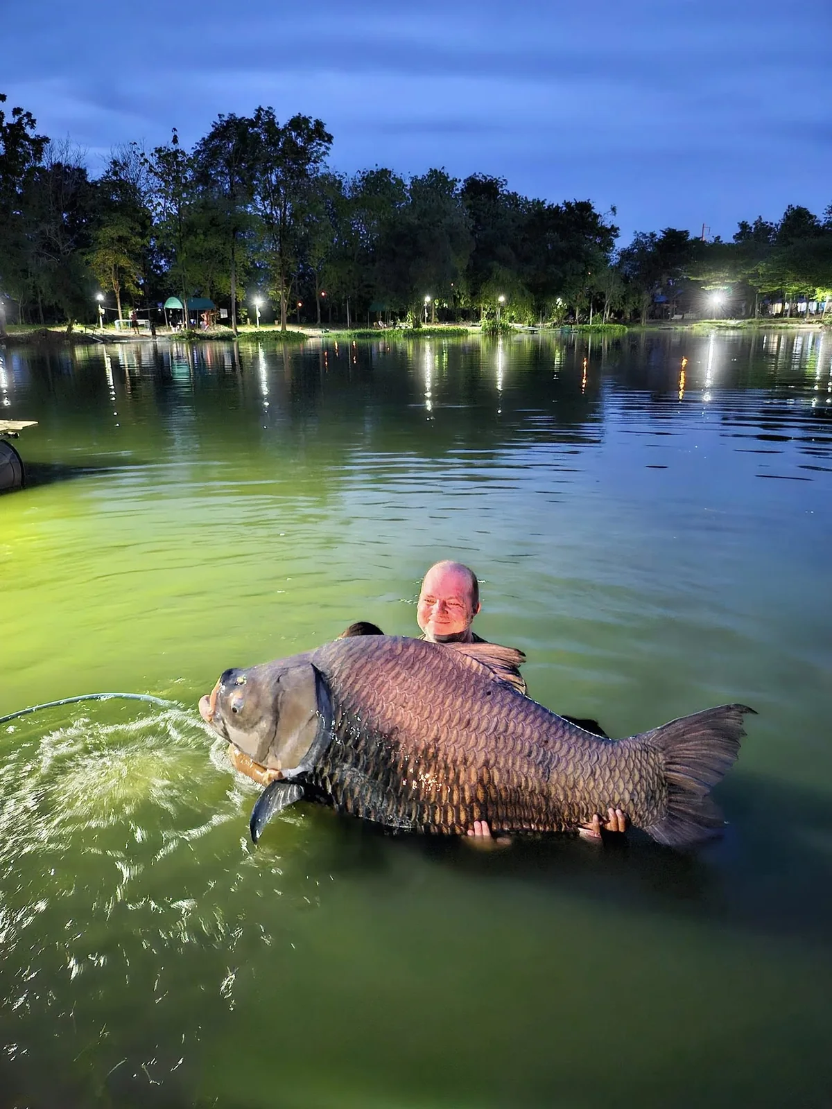 Vinny supporting Big Girl in the water at dusk, with lights reflected across Palm Tree Lagoon.
