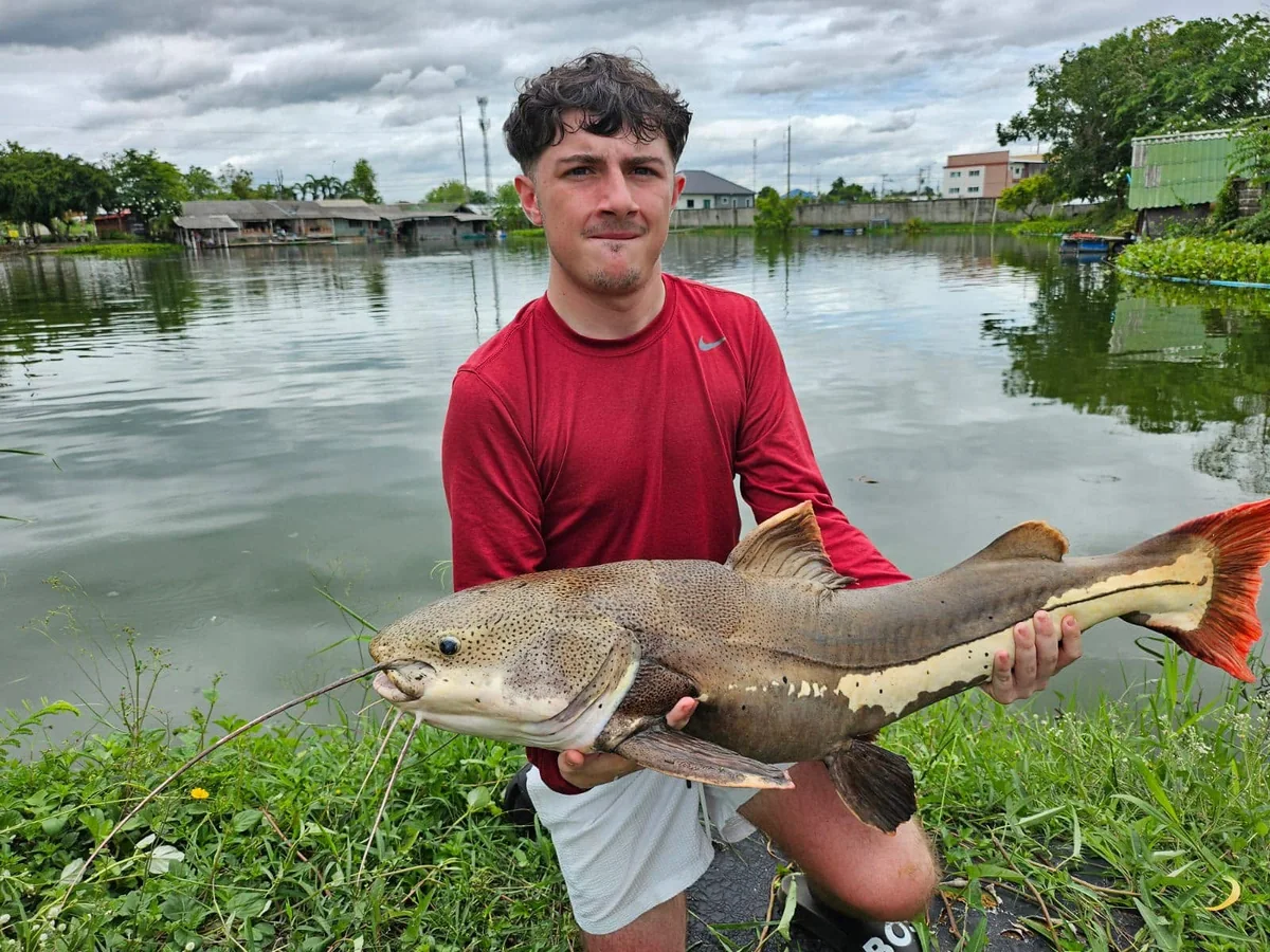Finlay kneeling beside the lake with a redtail catfish in daylight.