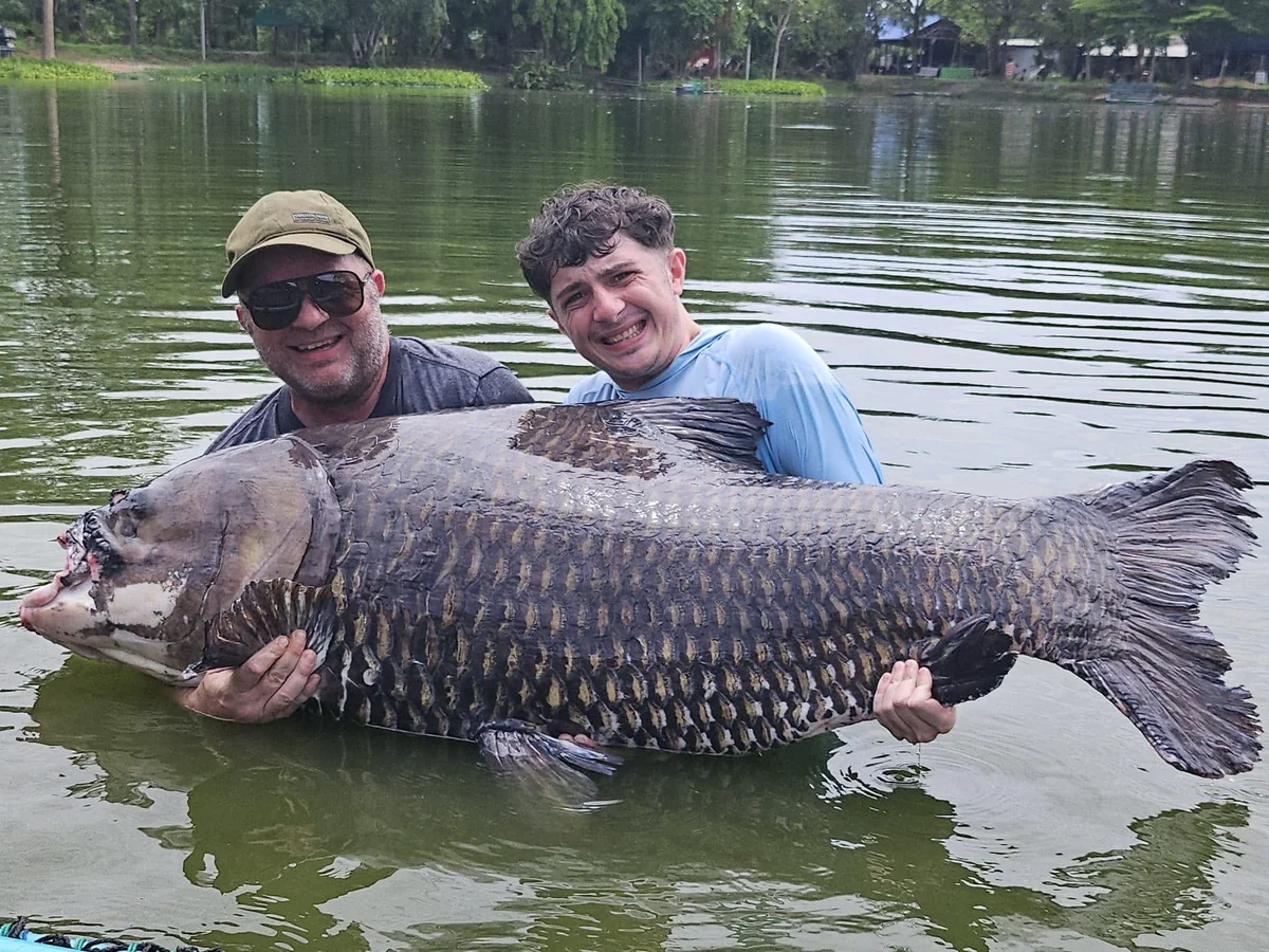 Vinny and Finlay supporting the large carp called The Warrior in the water.