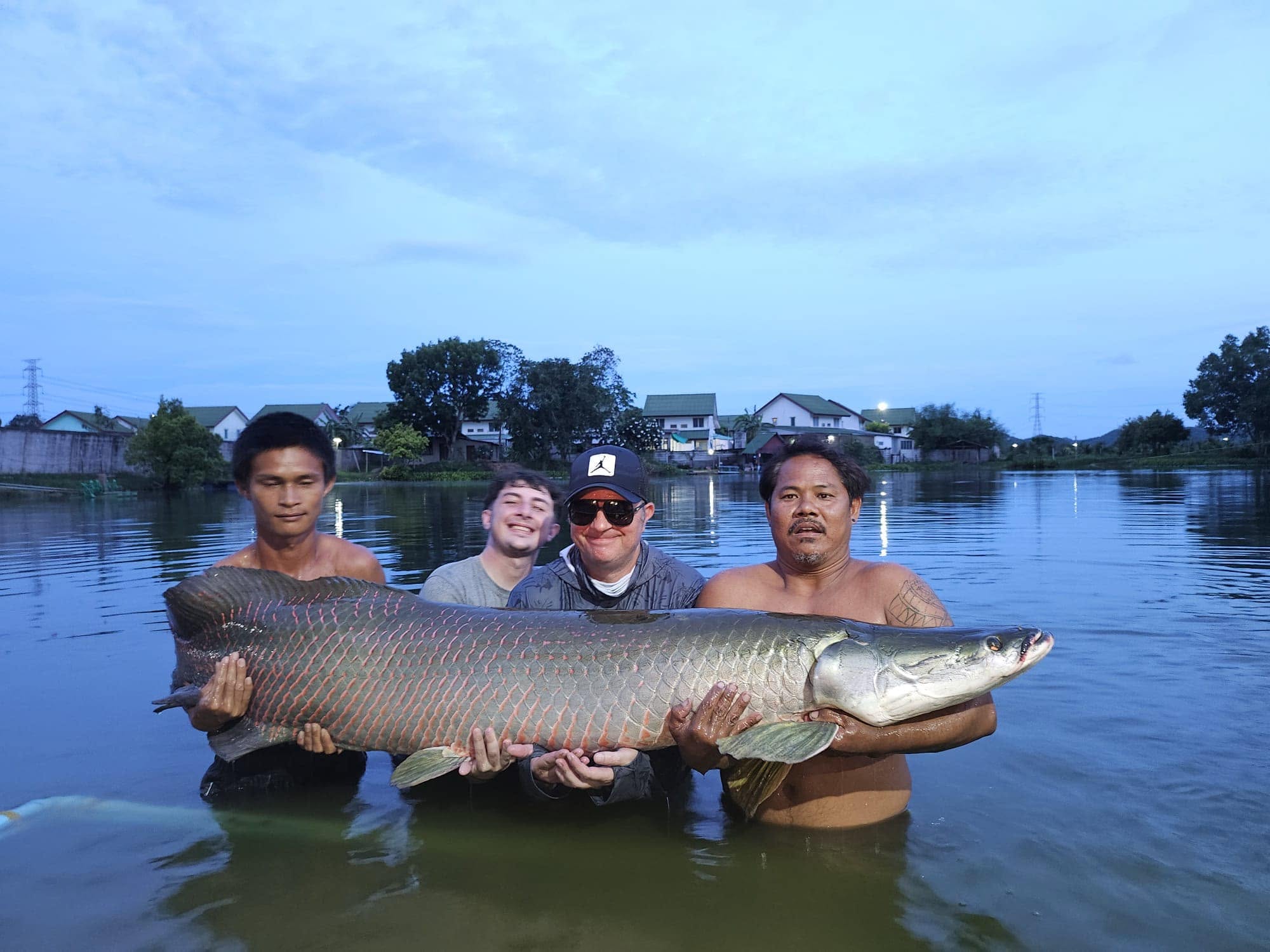 Four people in the lake supporting a large arapaima with red-edged scales at dusk