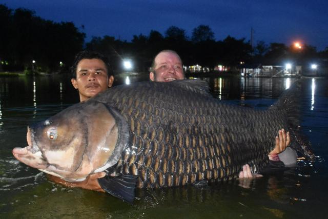 Two people supporting Big Girl in the water at Palm Tree Lagoon after the Siamese carp catch.