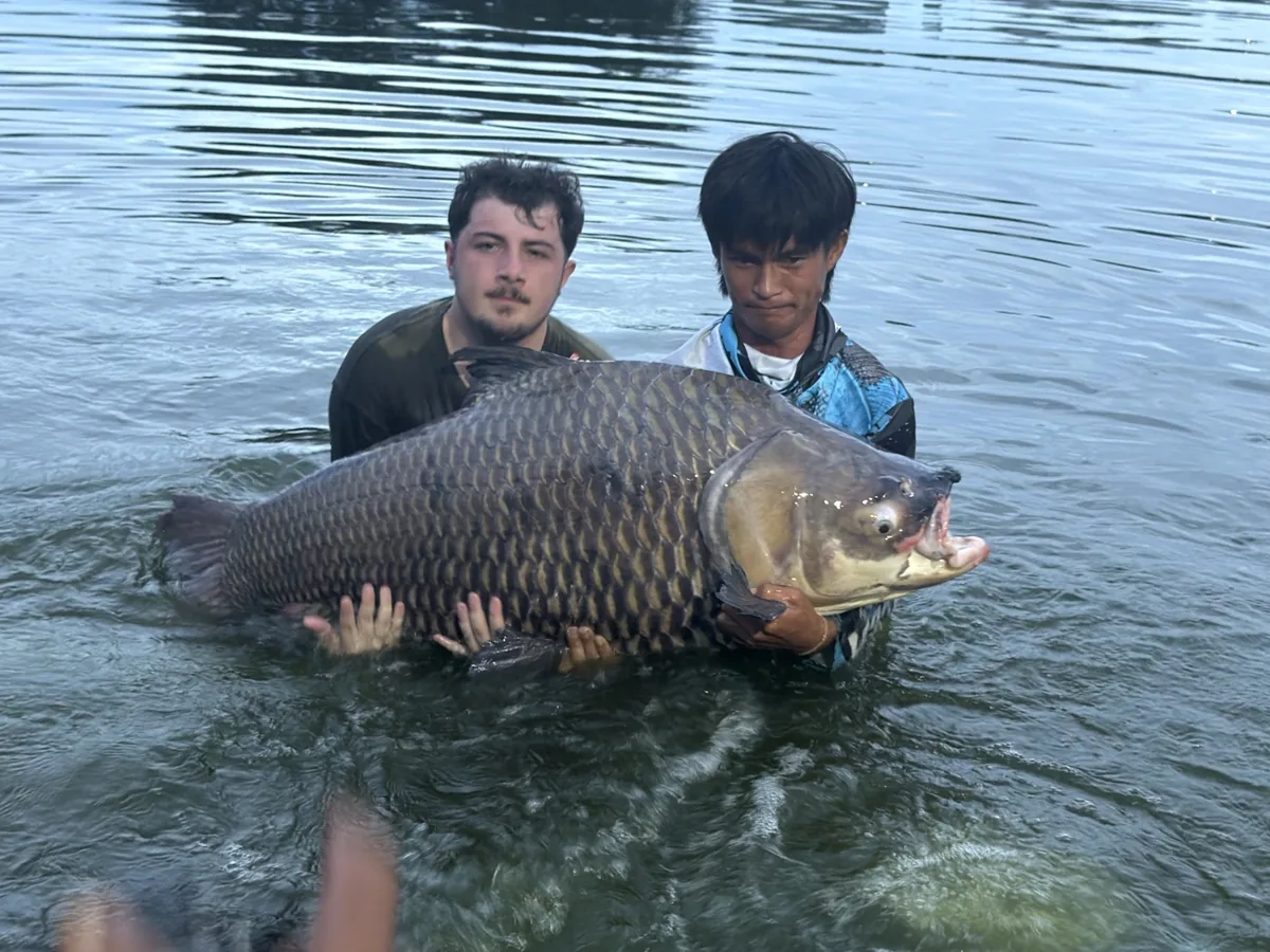 Two people supporting a large scaled fish in the lake beside a blue-framed net