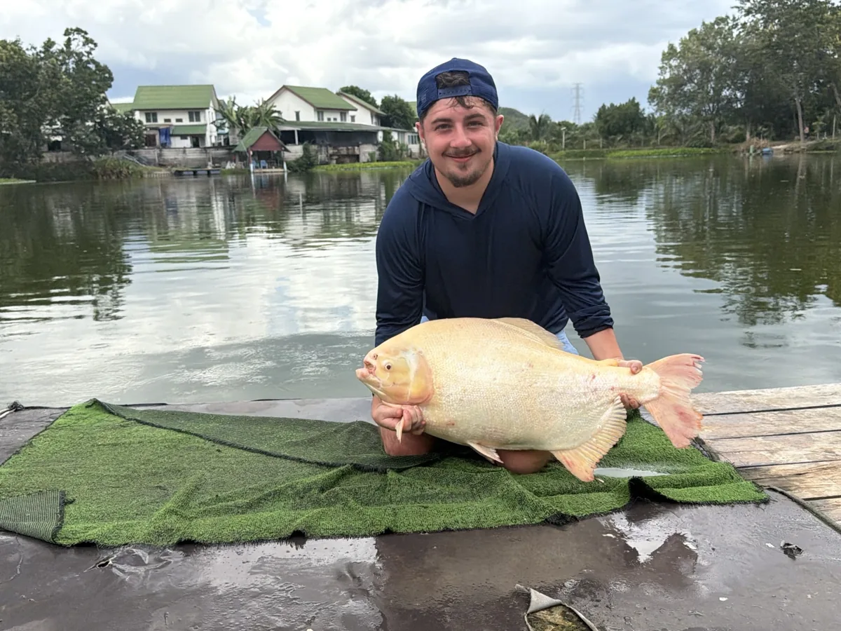 An angler kneeling behind a green mat with a golden fish and the lake behind