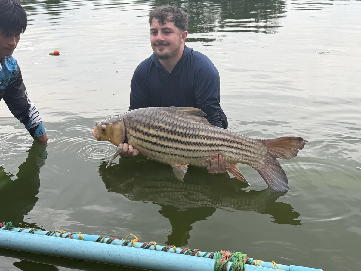 An angler in the lake holding a fish with dark stripes along its sides