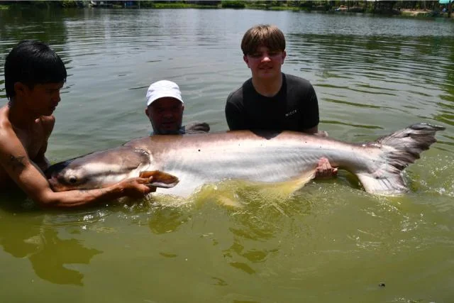 Tyler, Vinny and a guide in the lake supporting a huge catfish.