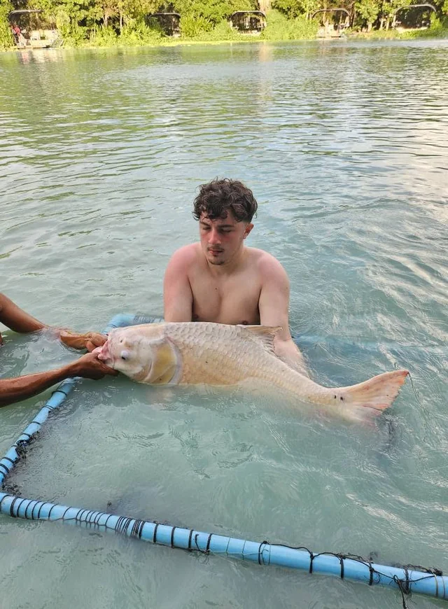 Finlay supporting a pale carp in the water with help beside the landing net.