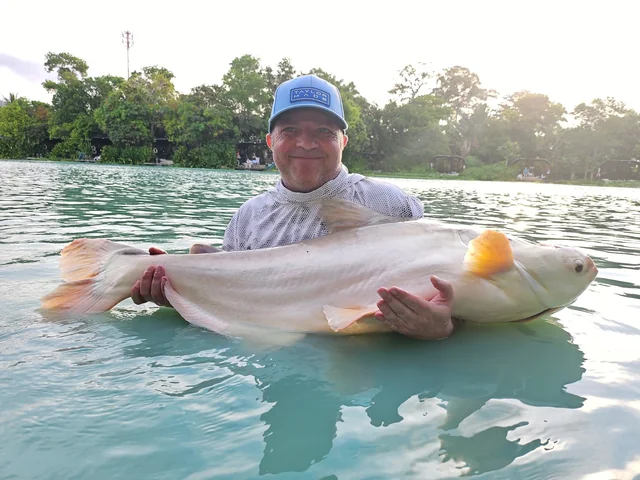 Vinny supporting a pale fish in the lake with sunlight behind him.