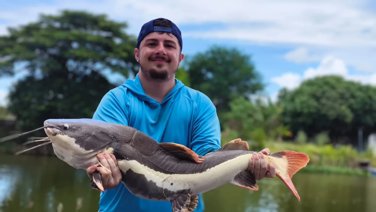 An angler in a blue top holding a catfish with a pale side stripe and red tail