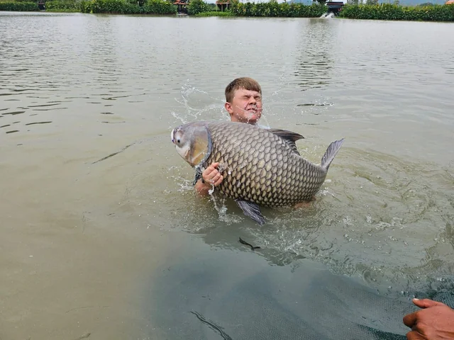 Water splashing around Tyler and a carp, with a landing net beside them.