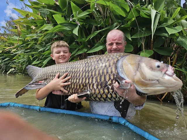 Vinny and Tyler holding a large carp together in the water beside green plants.