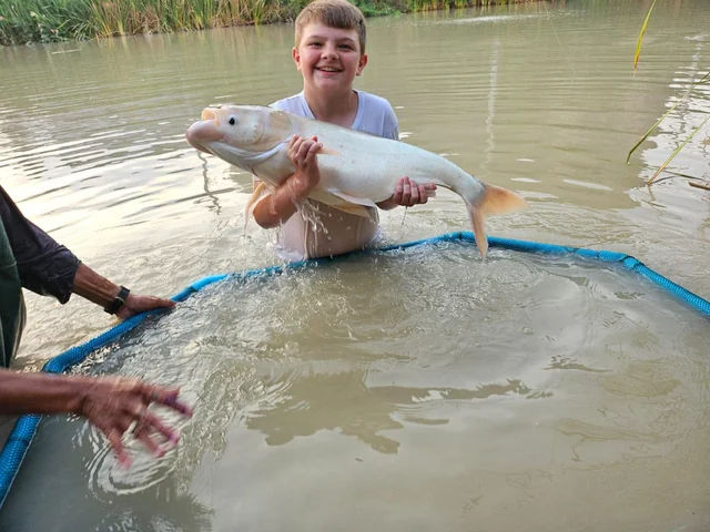 Tyler smiling with a pale-coloured fish above a blue-rimmed landing net.