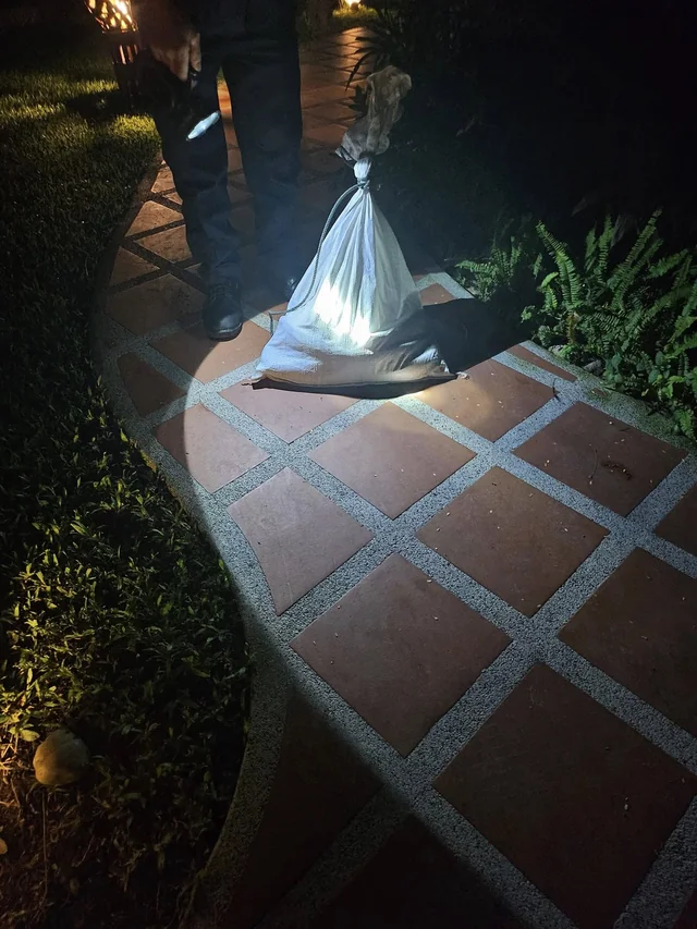 A person holding a tied bag above a tiled path at night in Vinny’s photograph captioned Snake.