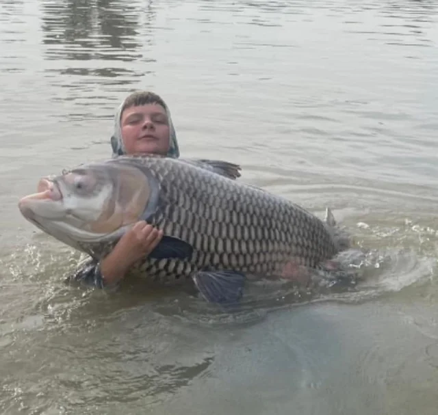 Tyler in a hooded fishing shirt supporting a large scaled carp at the surface.
